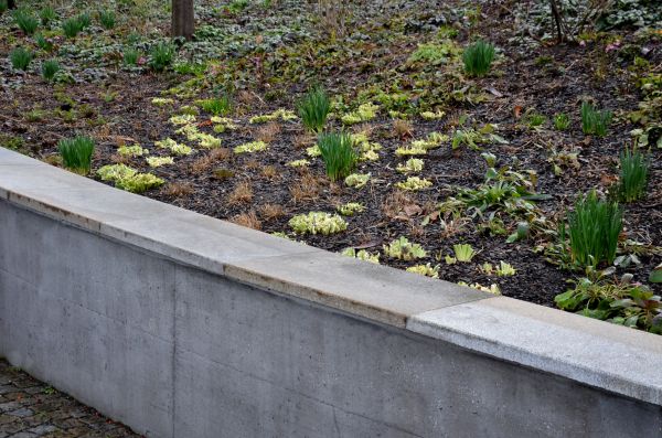 Concrete Wall Construction in Bellingham