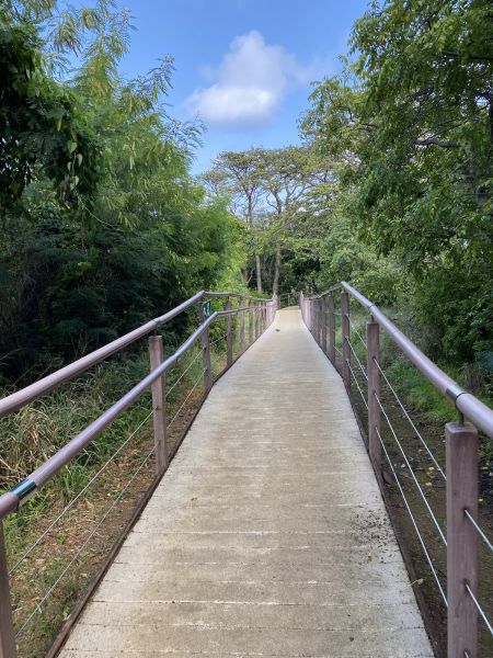 Footpath Construction in Bellingham