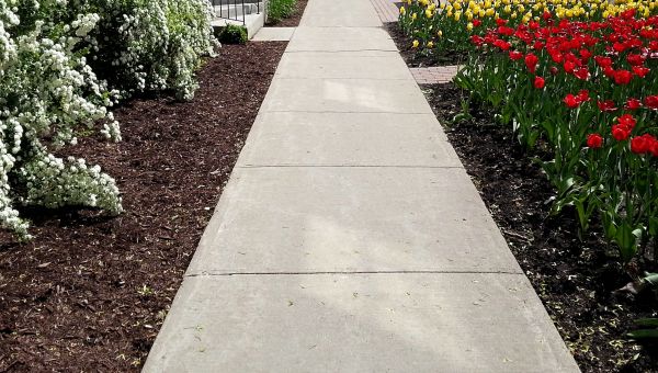 Cement Sidewalk Installation in Bellingham