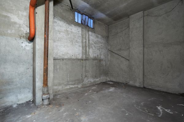 Basement Wall Construction in Bellingham
