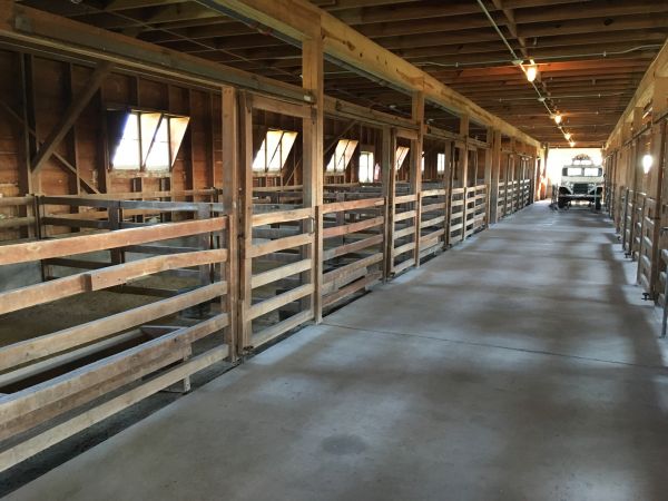 Barn Floor Pouring in Bellingham