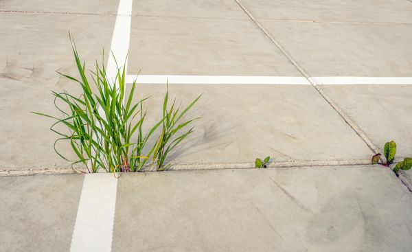 Concrete Parking Installation in Bellingham