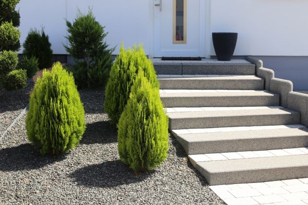Exterior Steps Construction in Bellingham