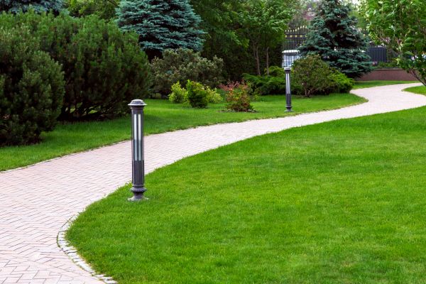 Backyard Sidewalk Installation in Bellingham