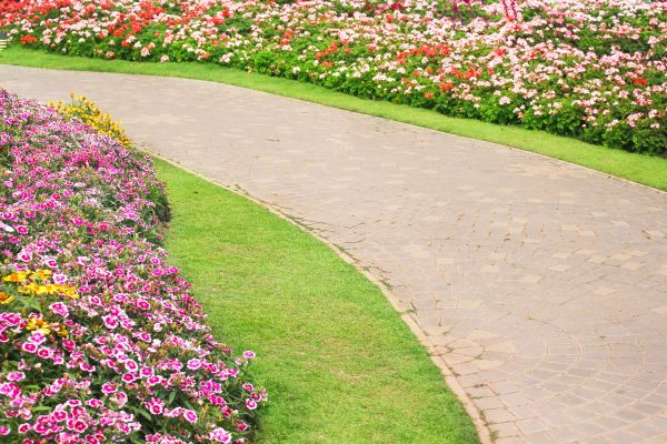Concrete Walkway Service in Bellingham